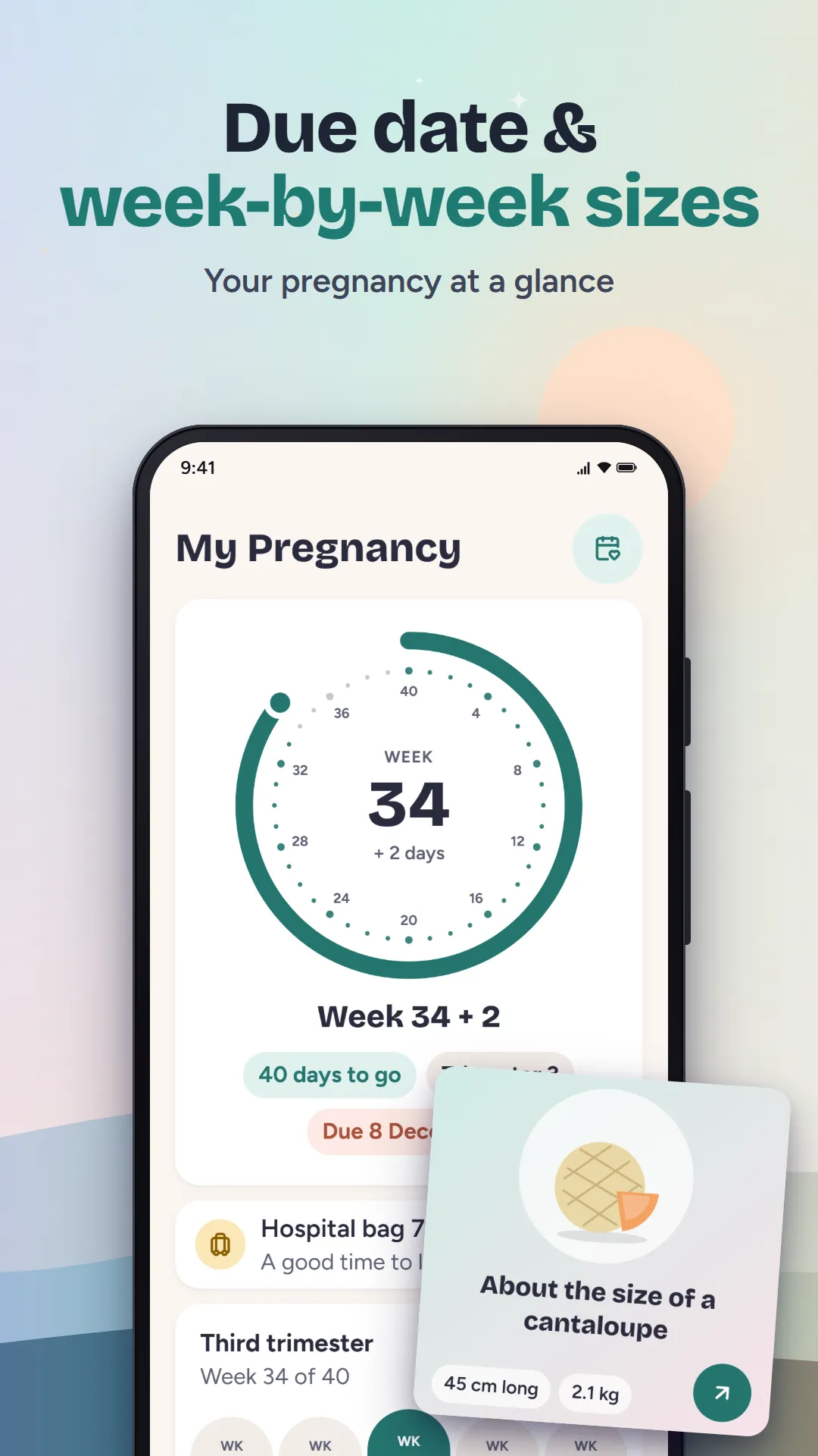 Due date and week-by-week sizes
